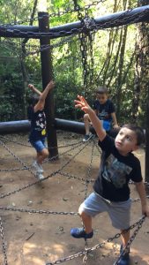 Nosso menino no Hexágono de Correntes, um dos desafios do Bosque Reinhard Maack - Curitiba/PR