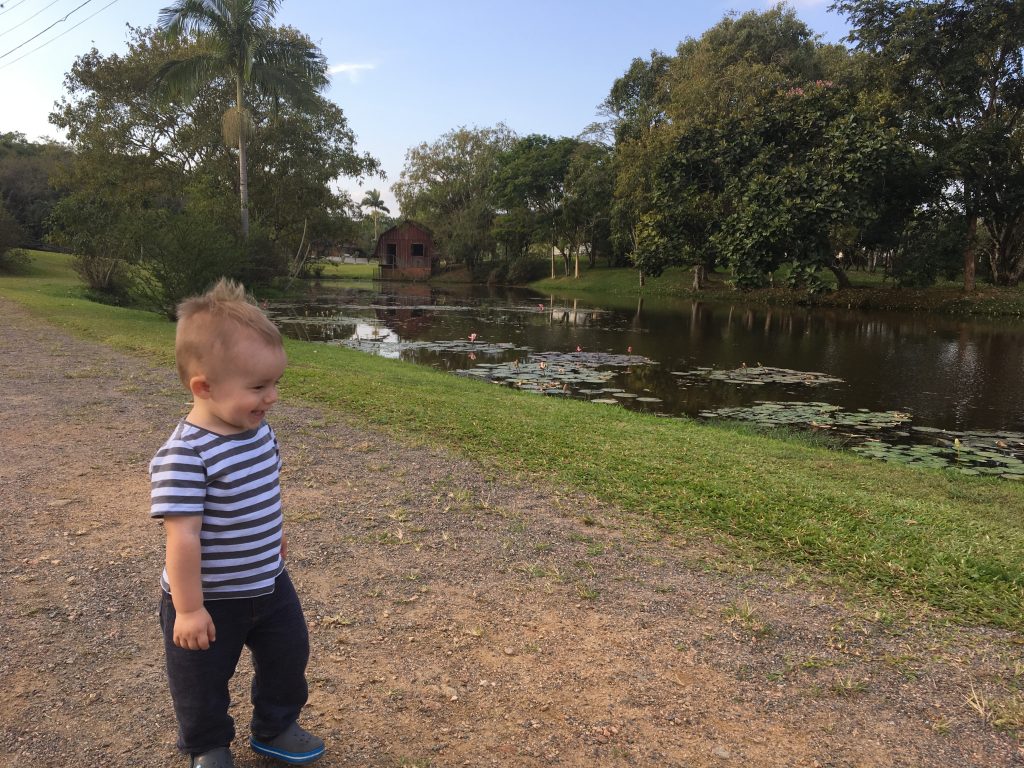 Toda felicidade do nosso bebê correndo e curtindo o Jardim Botânico no Vale Europeu/SC