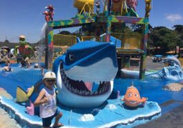 menino em frente a escultura de tubarão de parque aquático