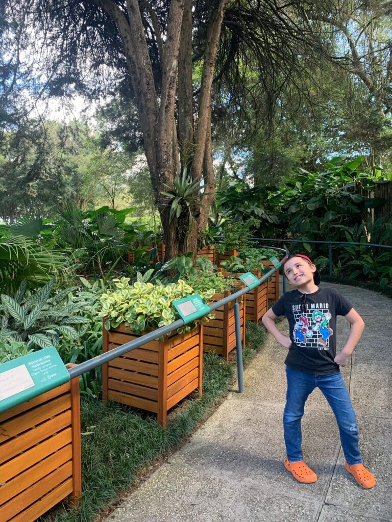 menino sorrindo e olhando pra cima ao lado de plantas em caixas de jardim temático