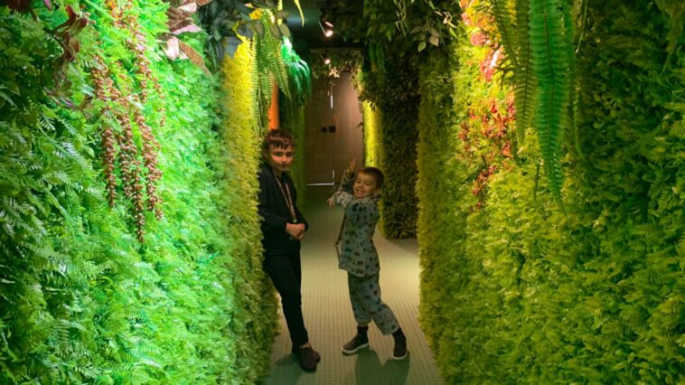 dois meninos em corredor temático de floresta em todas as paredes e teto