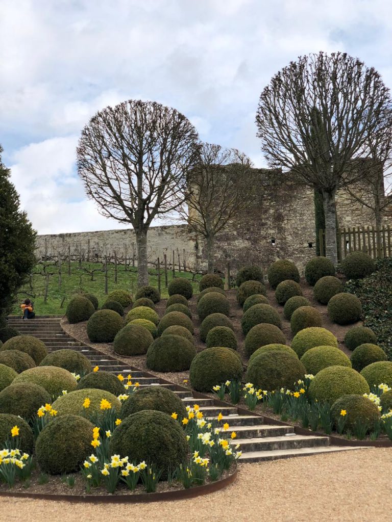 Jardins do Castelo: Adoráveis