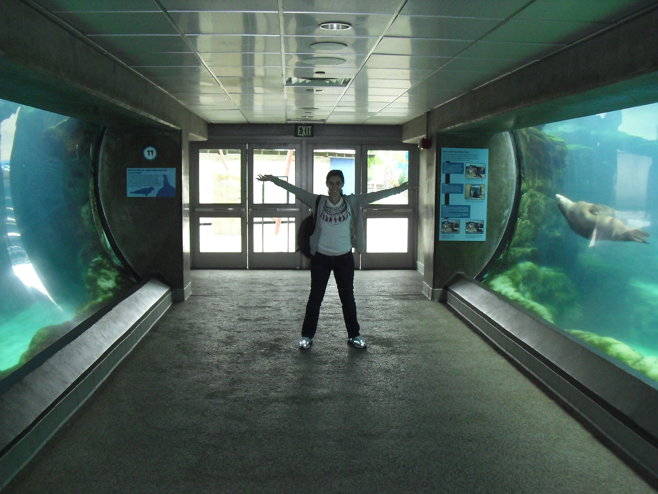 Tanques do O Aquarium of the Pacific