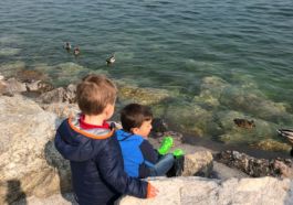 Dois meninos no lago