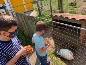 crianças de mascara alimentando coelho