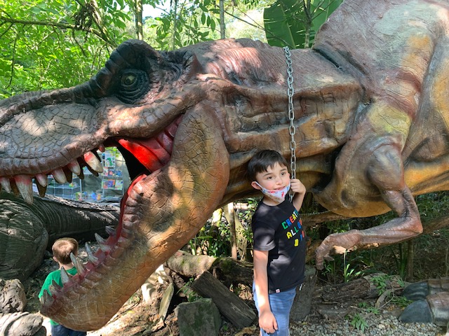 Mateus e um rex no vale dos dinossauros