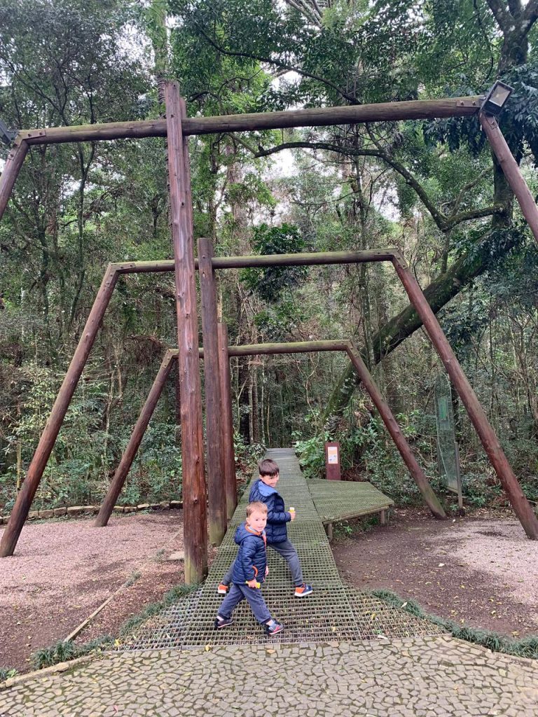 duas crianças de costas em frente a arcos de madeira de entrada em um bosque