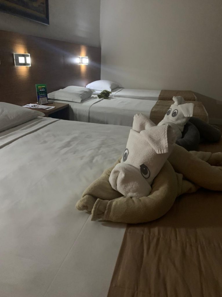 camas do quarto com personagem de toalha nas boas vindas