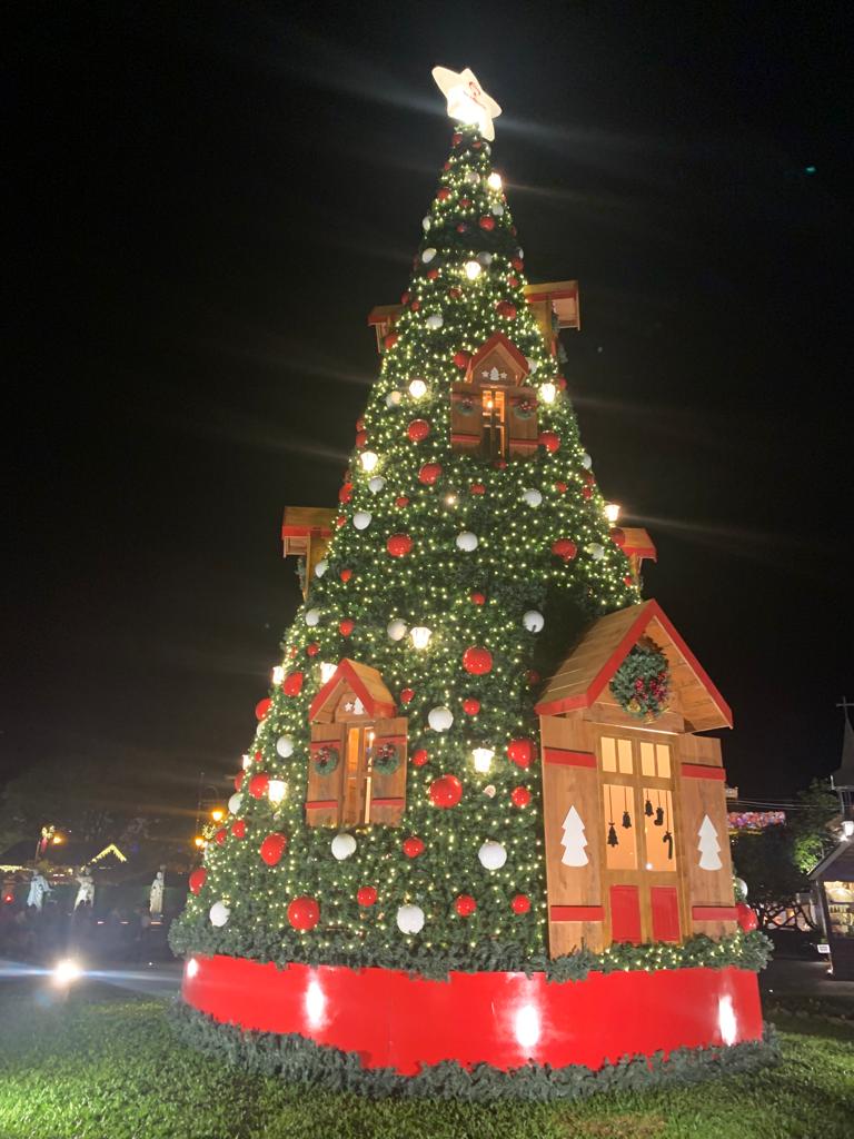 Grande árvore de natal decorada e iluminada a noite