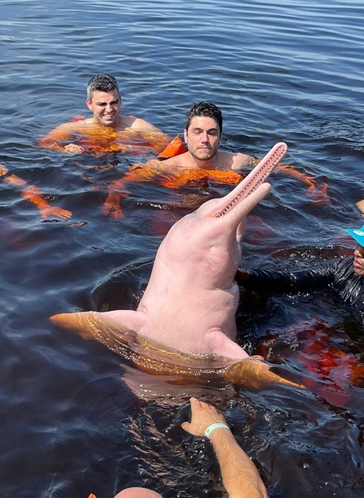 pessoas nadando em volta de boto cor de rosa no frio