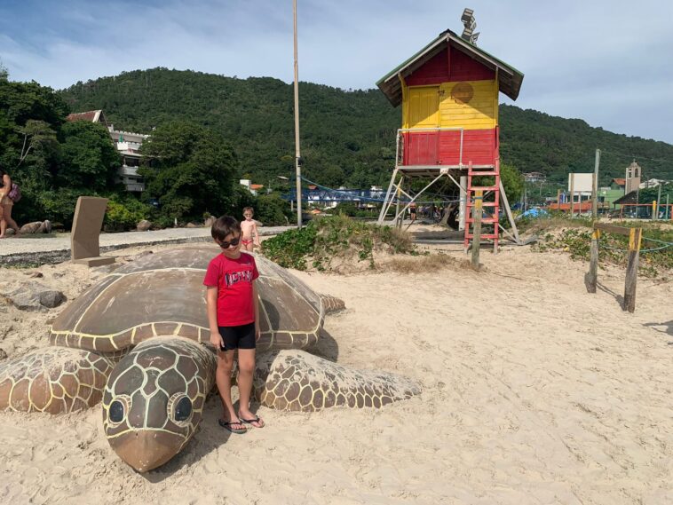 menino ao lado de escultura de tartaruga em praia com casa de bombeiro ao fundo