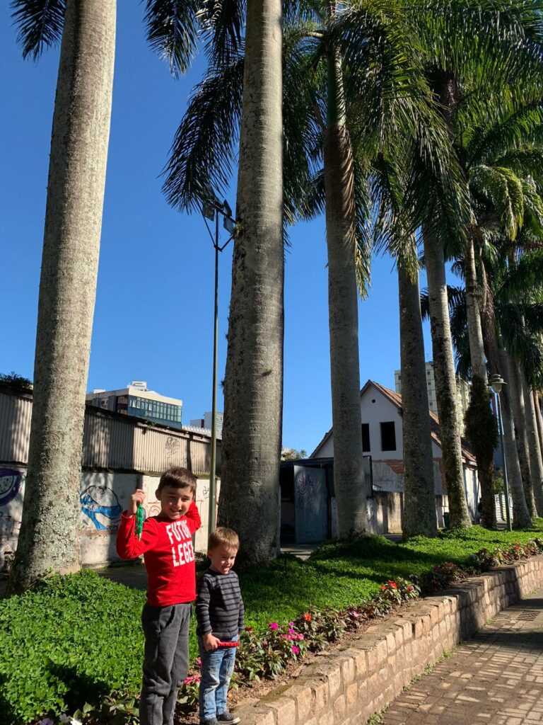 dois meninos embaixo de grandes palmeiras reais