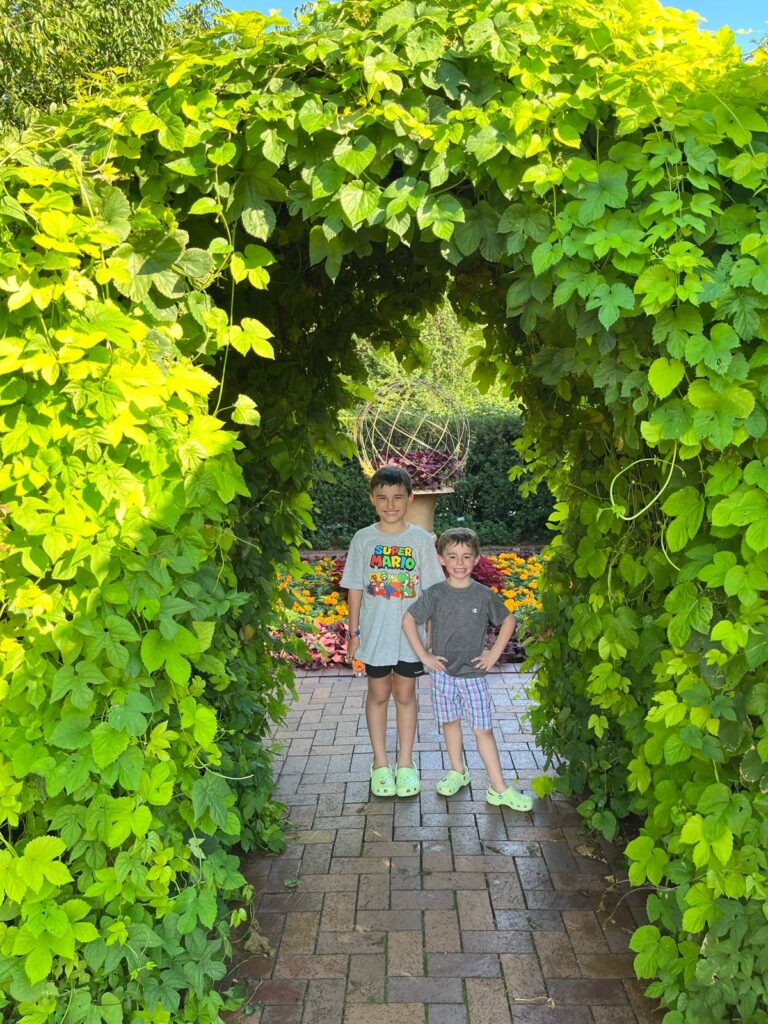 dois meninos no meio de arco de folhas