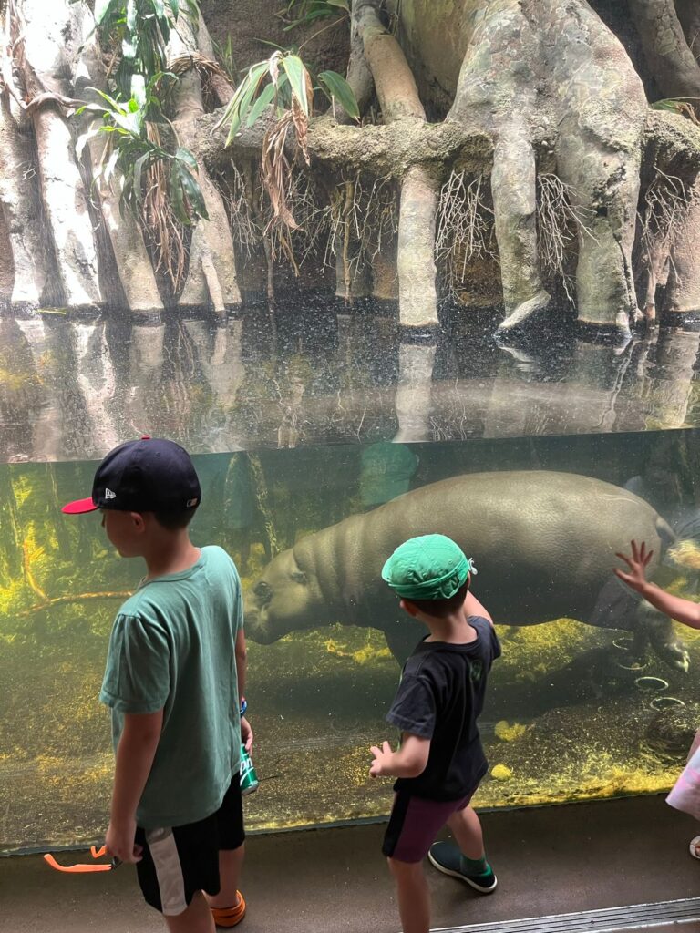 dois meninos em frente a aquário com hipopótamo