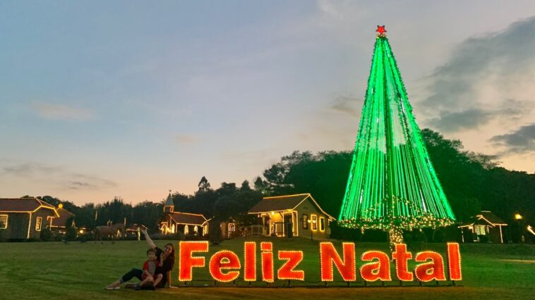letreiro escrito feliz natal iluminado com árvore grande iluminada ao fundo em parque