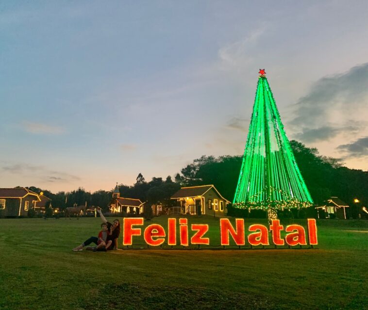 letreiro escrito feliz natal iluminado com árvore grande iluminada ao fundo em parque