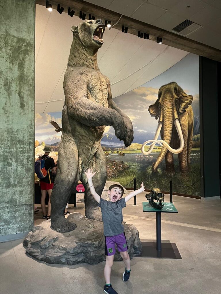 menino olhando pra cima com réplicas de grande urso e mamute ao fundo