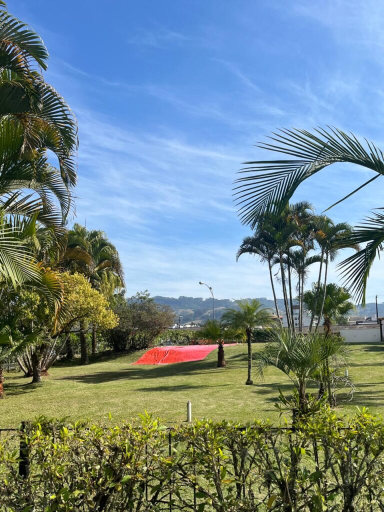 gramado com árvores de jardim de hotel