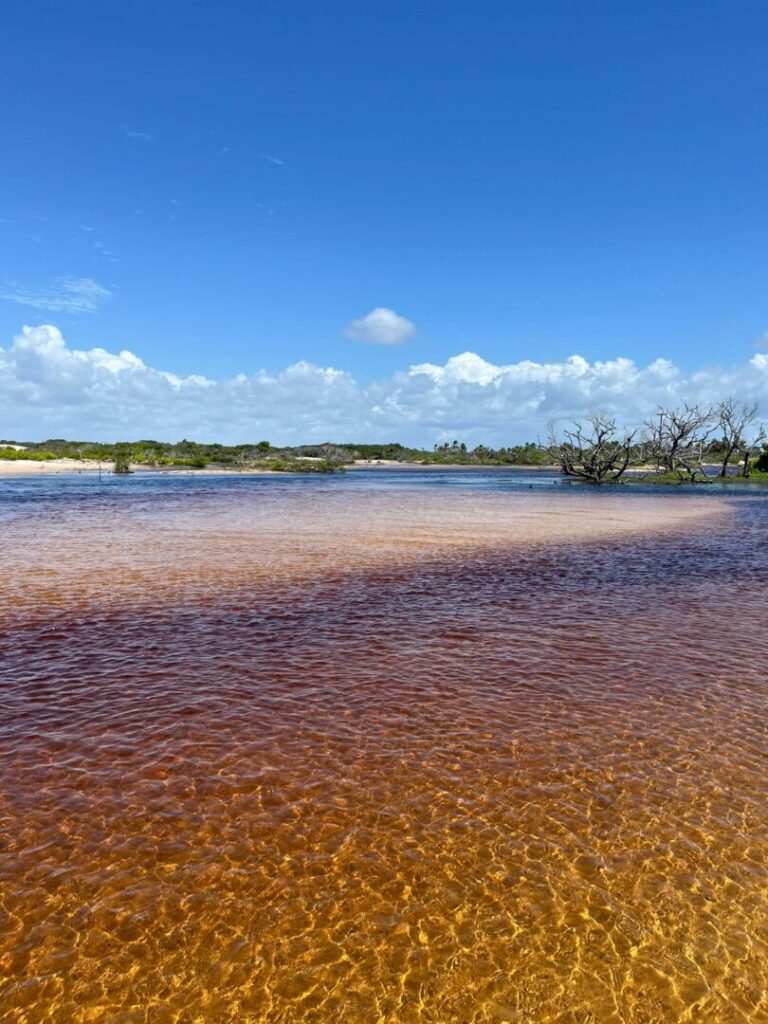 rio de multi cores