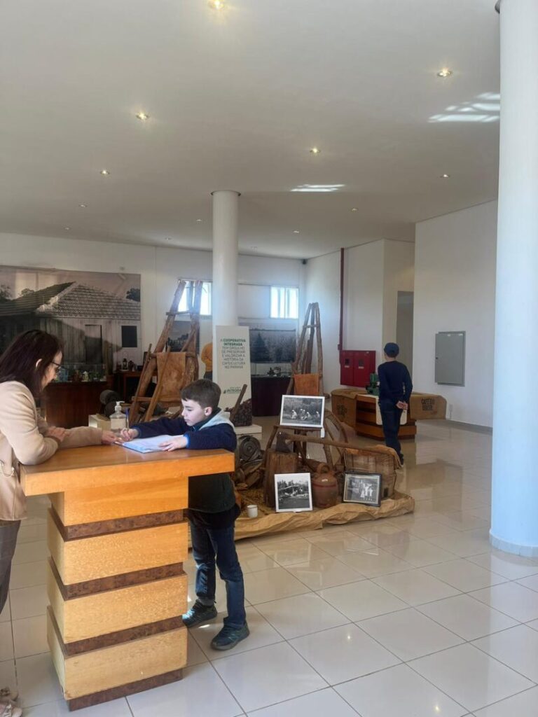 exposição de itens de plantio de café