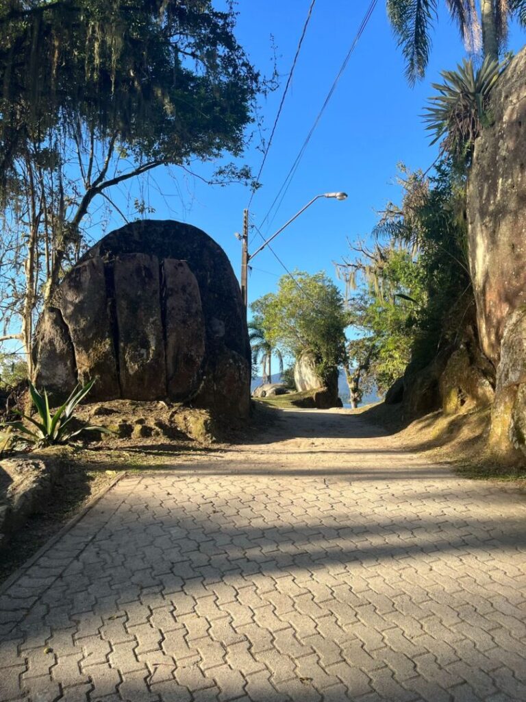 calçada com grande pedra e mata